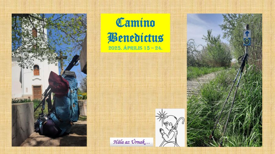 El Camino – 1. fotó