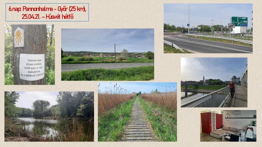 El Camino – 8. fotó